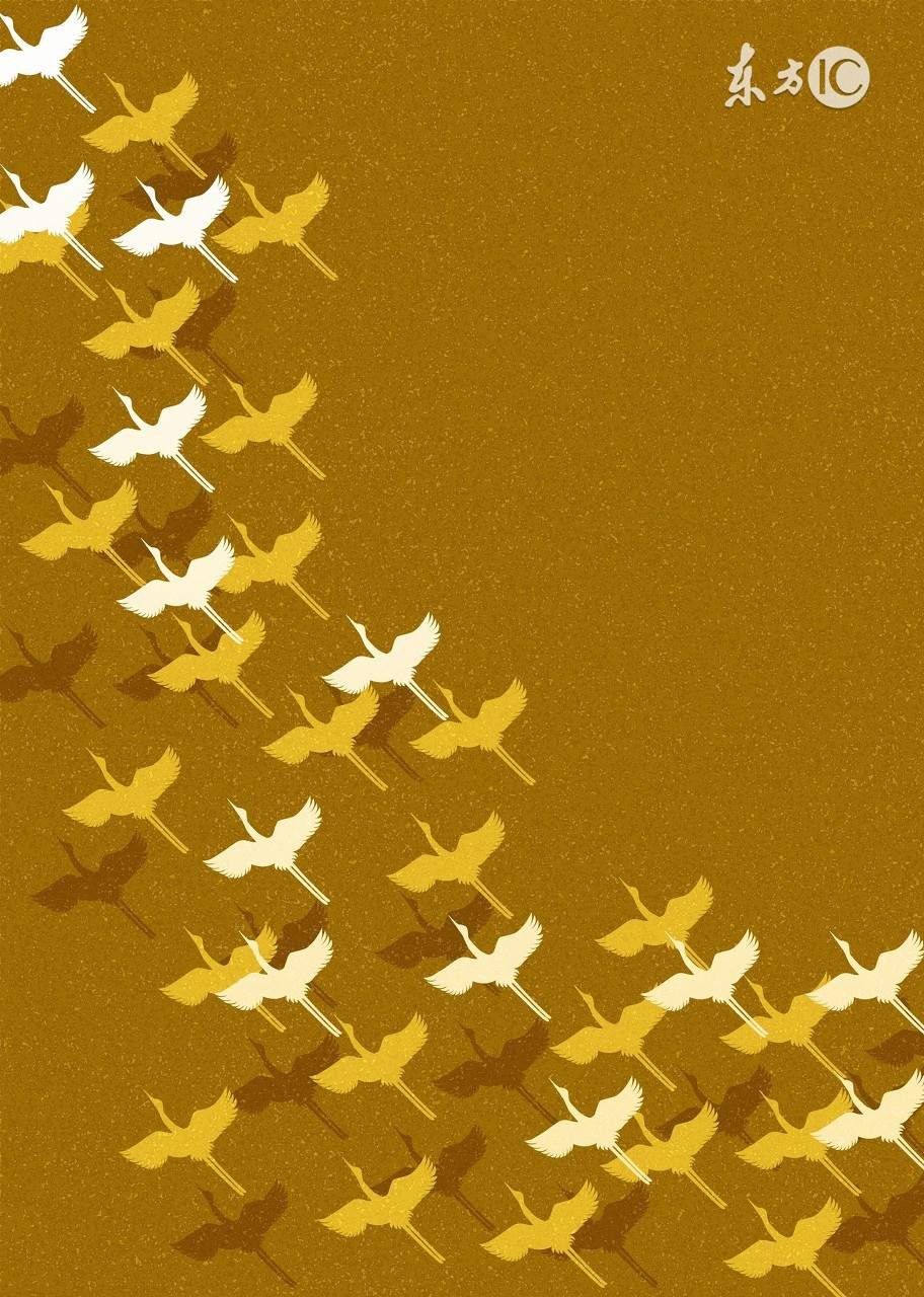 阳明教育：孩子们，中学阶段还有分数可以追求，请问大学时代，你要追求什么？