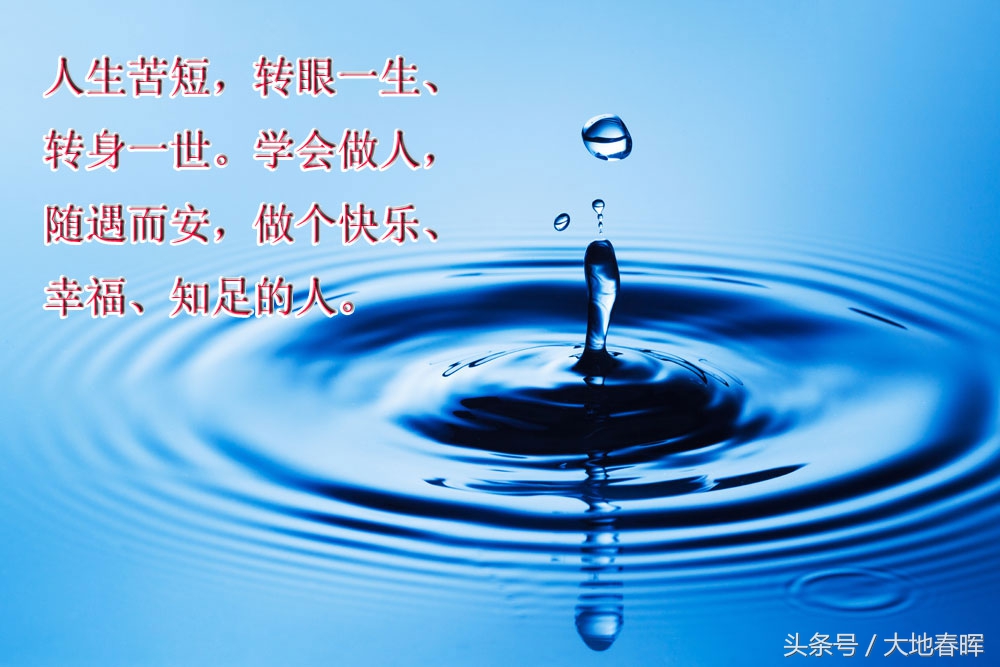 关于心宽的唯美句子_晶羽文学网