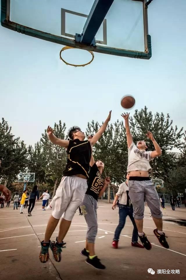 河南大学最特殊的一个学院，坐落于华夏龙都，今年起升为一本