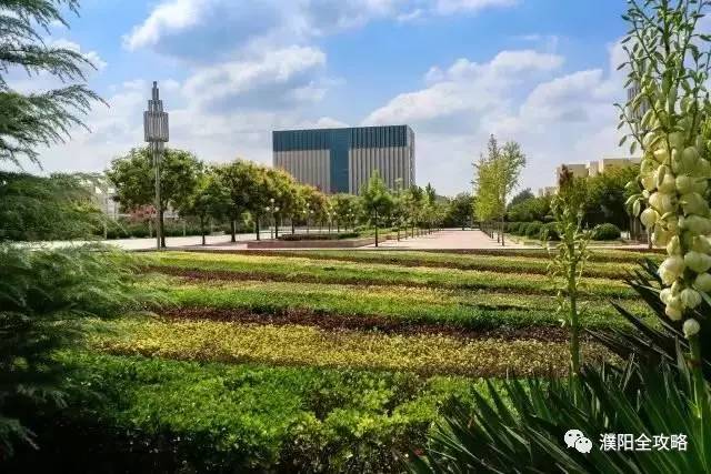 河南大学最特殊的一个学院，坐落于华夏龙都，今年起升为一本