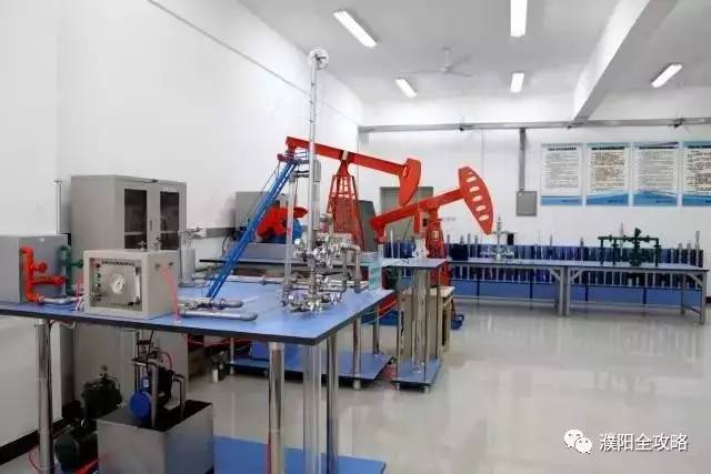 河南大学最特殊的一个学院，坐落于华夏龙都，今年起升为一本