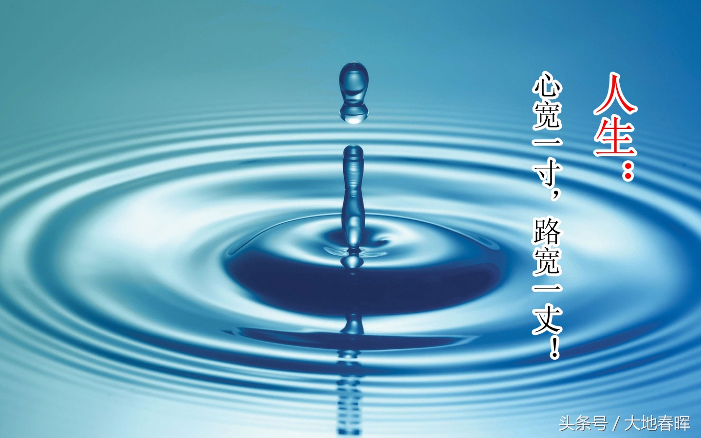 关于心宽的唯美句子_晶羽文学网