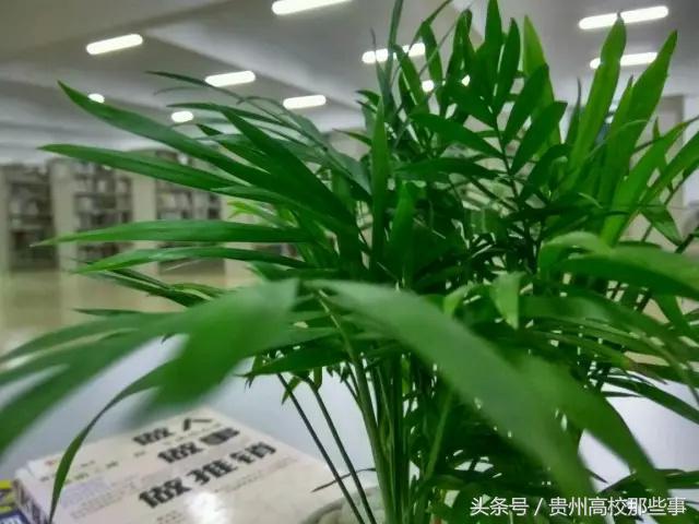 必看！贵州民族大学人文科技学院最强解析