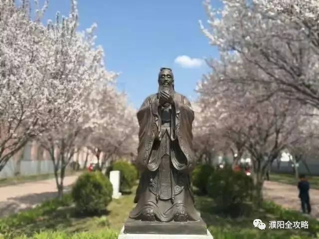 河南大学最特殊的一个学院，坐落于华夏龙都，今年起升为一本