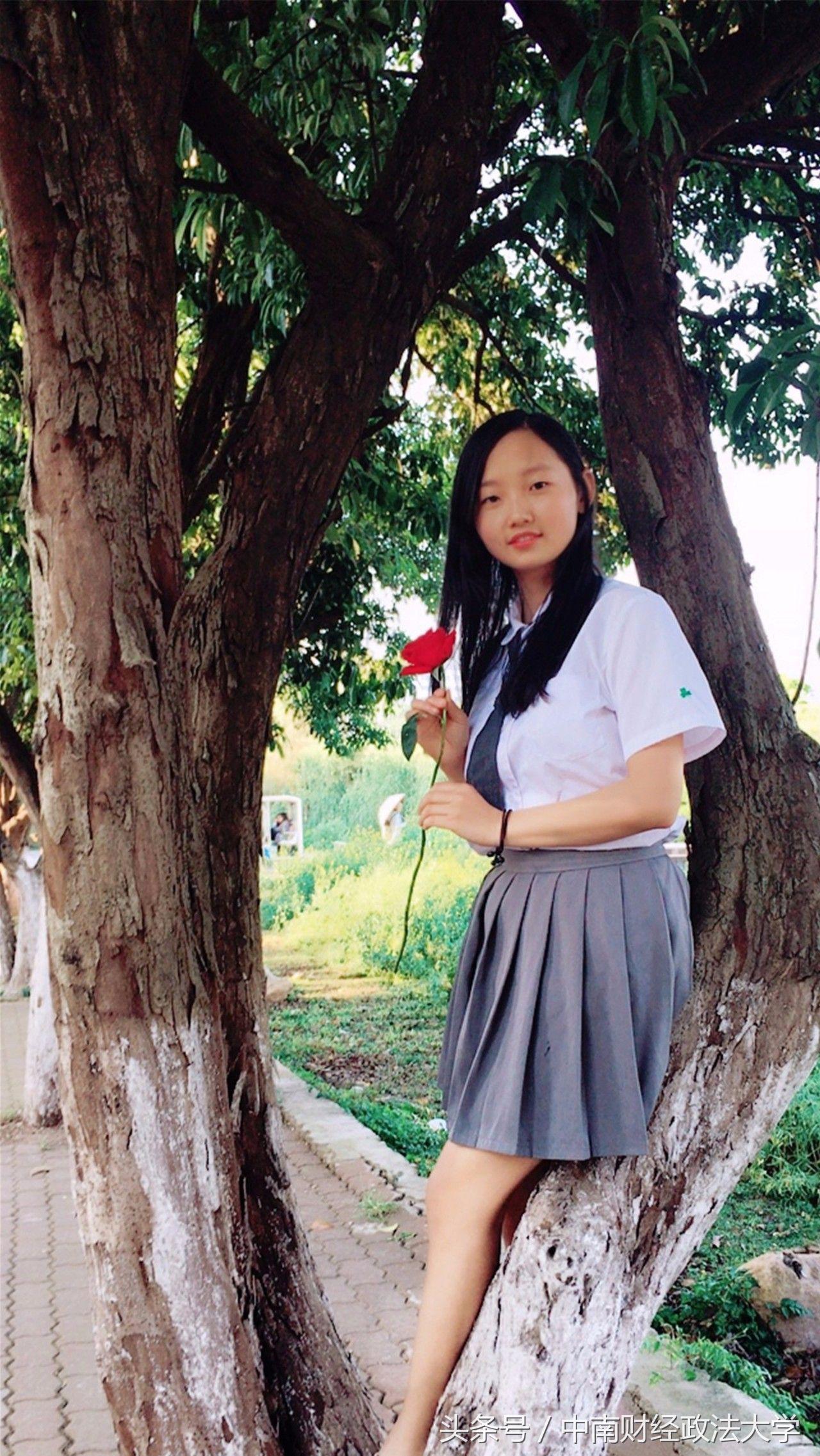 来中南大，你会和他们一样更优秀（附各学院简介 下篇）