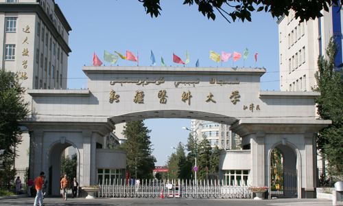 最新高考内参：新疆维吾尔自治区大学排名-2017