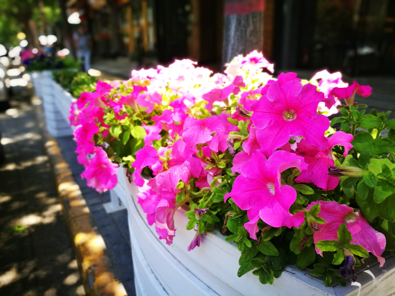 2017高考山西三本分数线（高考快讯）