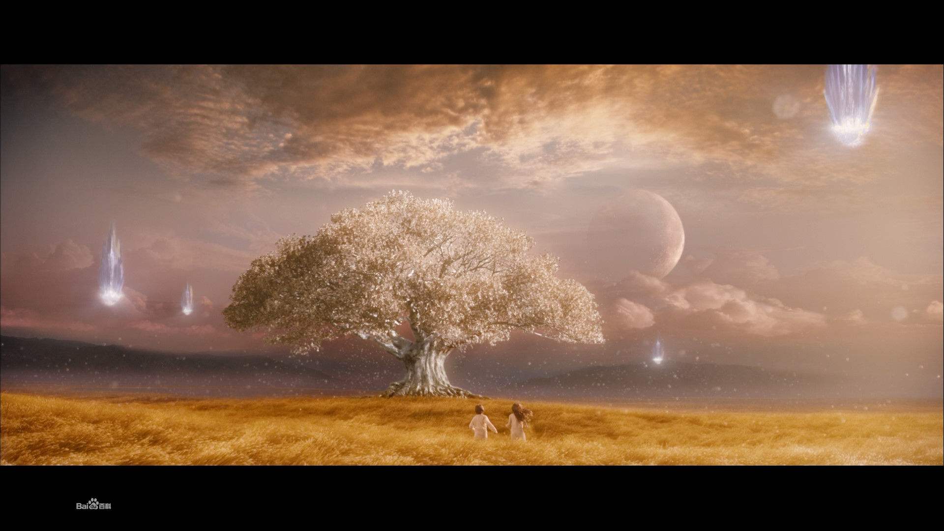 先知电影剧情「梳理」 _晶羽科技