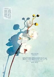 我们都在人生的苦海里挣扎，背负着罪，又一路向善而行——都市言情小说大推荐