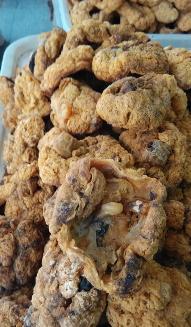 紫河车的功效作用大 吃紫河车要谨防副作用