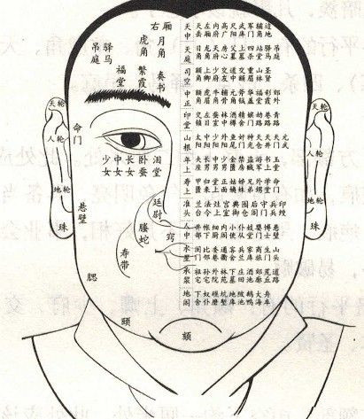 相术解析:骨相图解大全