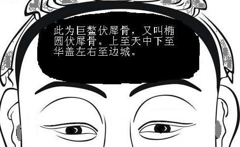 什麼面相的人有老闆相 顴骨有肉的人野心大_達一風水網