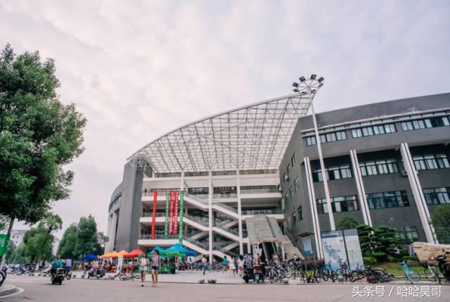 中南大学校鸡联系方式（2017招生季）