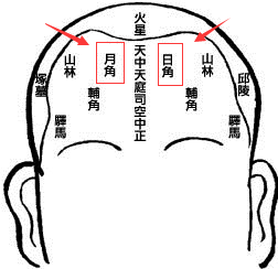 相术解析:骨相图解大全