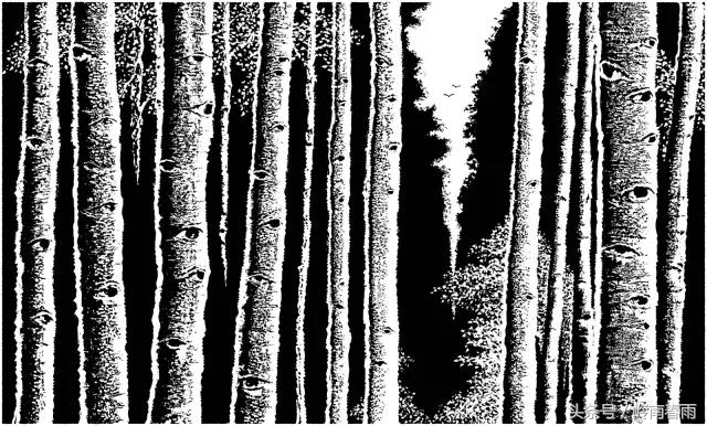 邓扬威版画欣赏《森林诗篇·天眼》