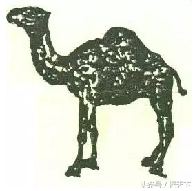 有几种骆驼标志的牌子（各种骆驼logo图片）