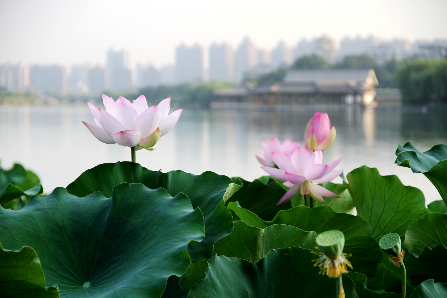 高考快讯：陕西、新疆、河北2017年普通高校招生录取工作日程发布