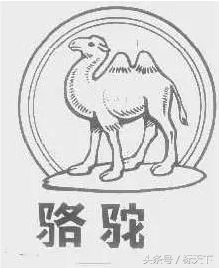 有几种骆驼标志的牌子（各种骆驼logo图片）