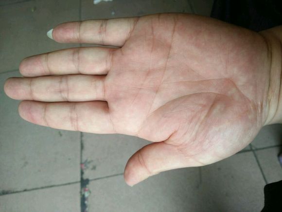 它各个部位是否均匀,毛色,神态与气息如何,就知道它是良骥还是驽骀