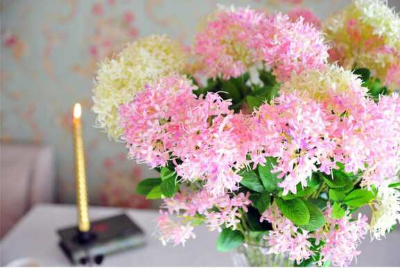 夕雾花的花语是什么（热烈想念一往情深的夕雾花）