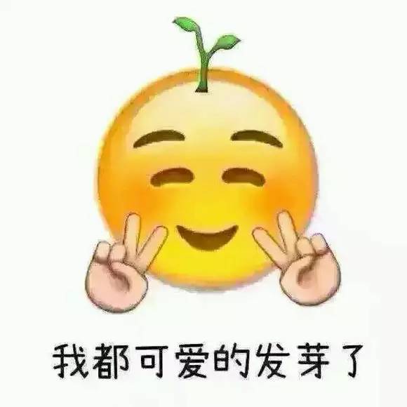 家里一個平方米能有多大用處？看完你就驚呆了！