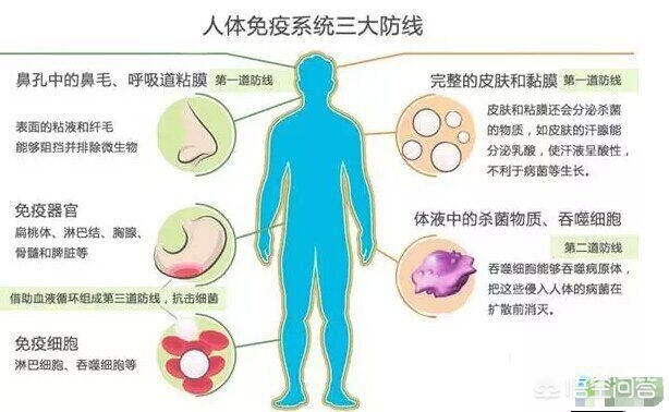 宝宝反复湿疹怎么办？弄清楚这6个问题，湿疹不再纠缠