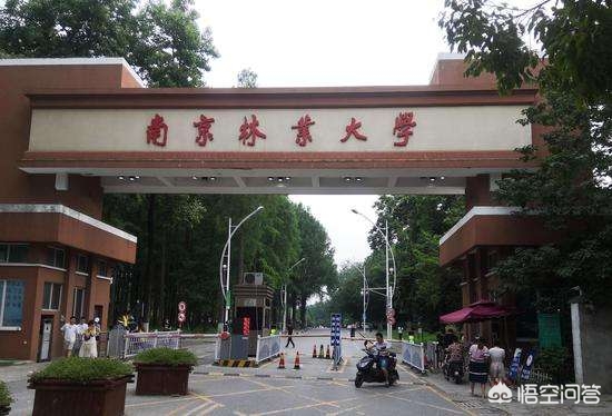 这11所非211院校，拥有A+学科，3所是非双一流院校，值得关注