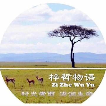 深夜未眠，思绪随月色流淌，在文字间寻觅诗与远方的踪迹。