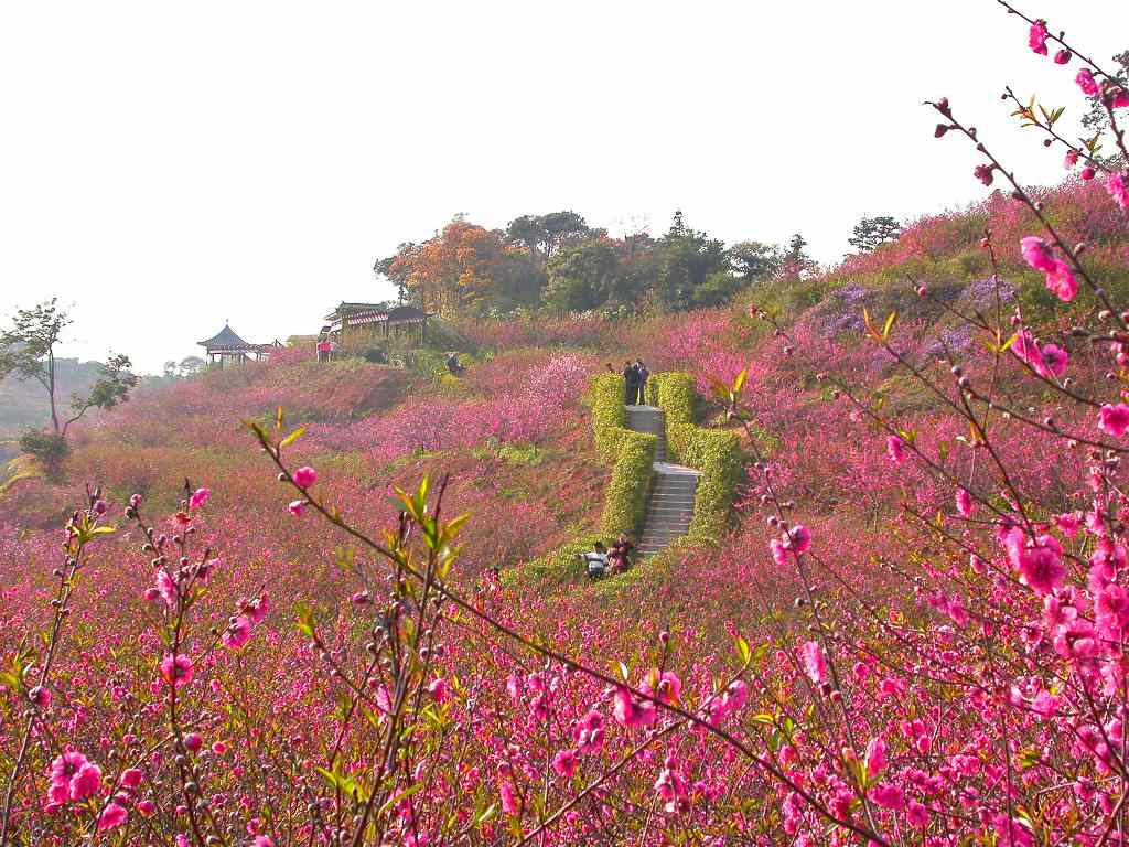 这片被闹市包围的绿洲！花整天时间也不一定能走完