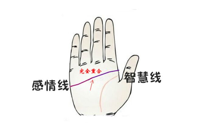 如果智慧线断开,会发生什么呢?