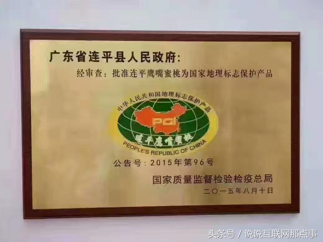 连平鹰嘴桃简介