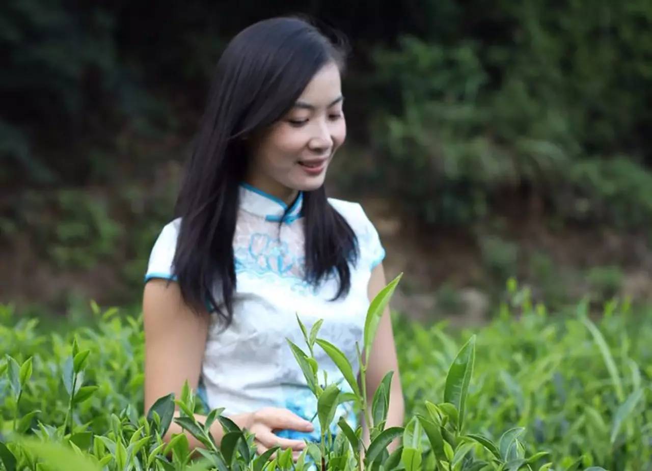 茶能醉客何须酒，自在清新柚花香