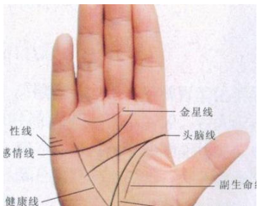 钱财多多,大富大贵的手相!