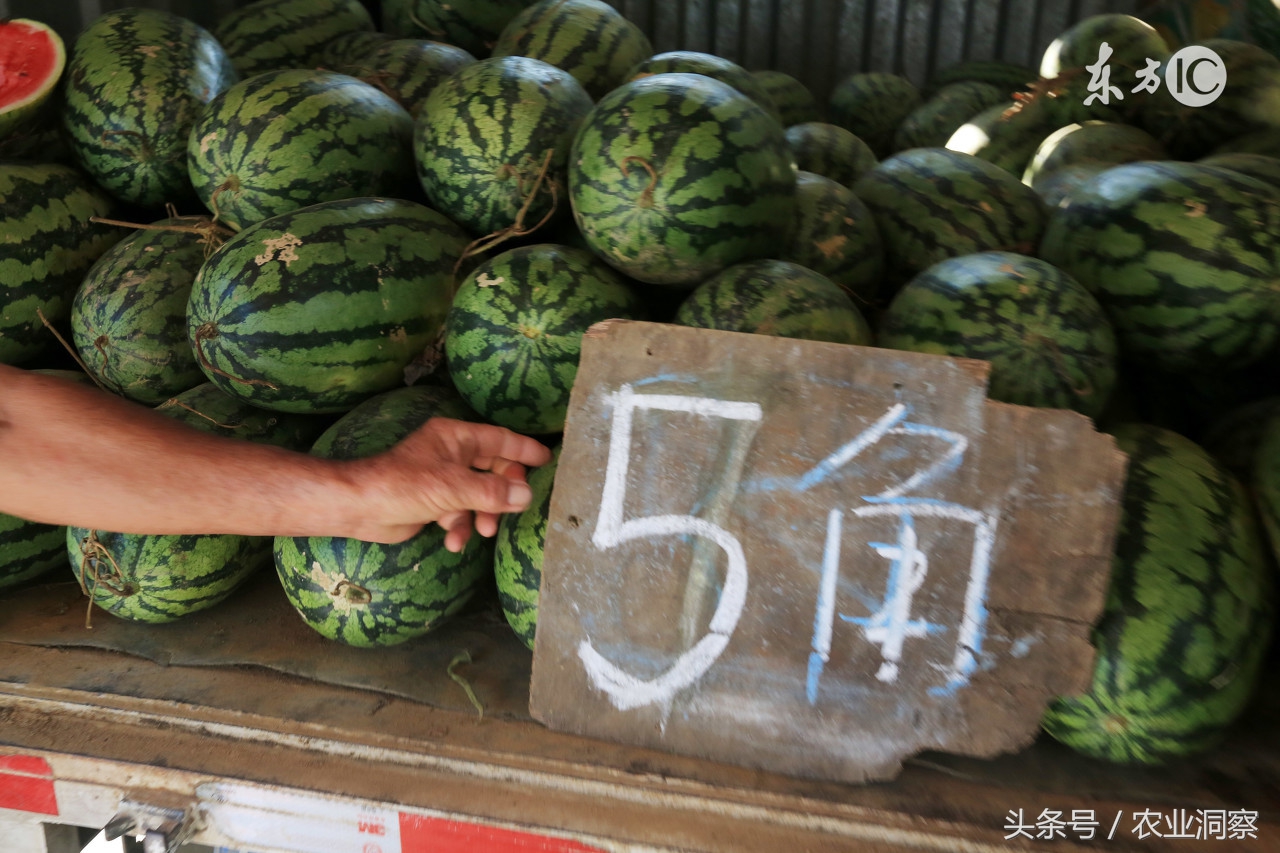 西瓜常用农药使用大全(西瓜常用农药使用大全表)
