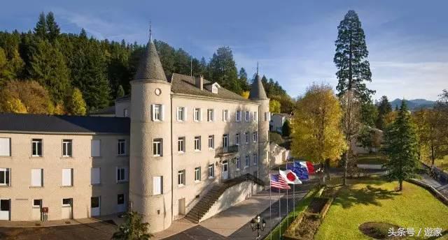 如何做一个合格的甜点师？会做会吃还不会胖才是王道