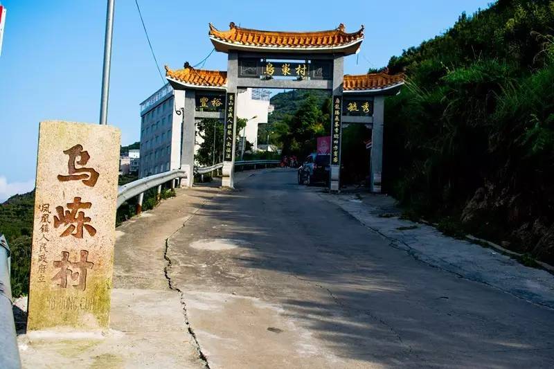 访山问茶|凤凰单丛核心茶区全解(乌岽村篇)