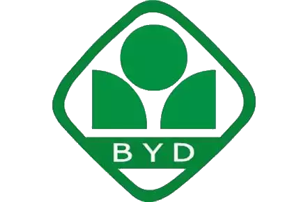 深圳亚迪学校全解析,这匹名校黑马为何脱颖而出