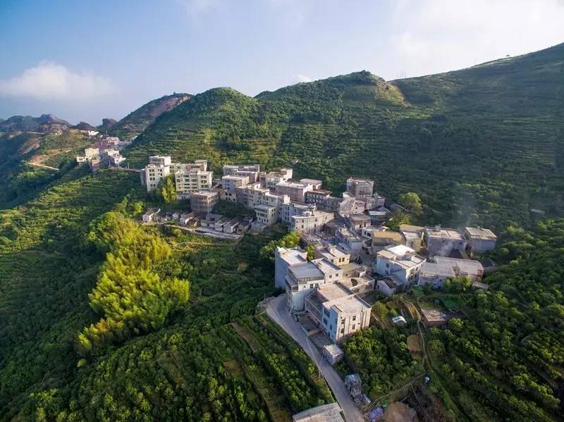 访山问茶|凤凰单丛核心茶区全解(乌岽村篇)