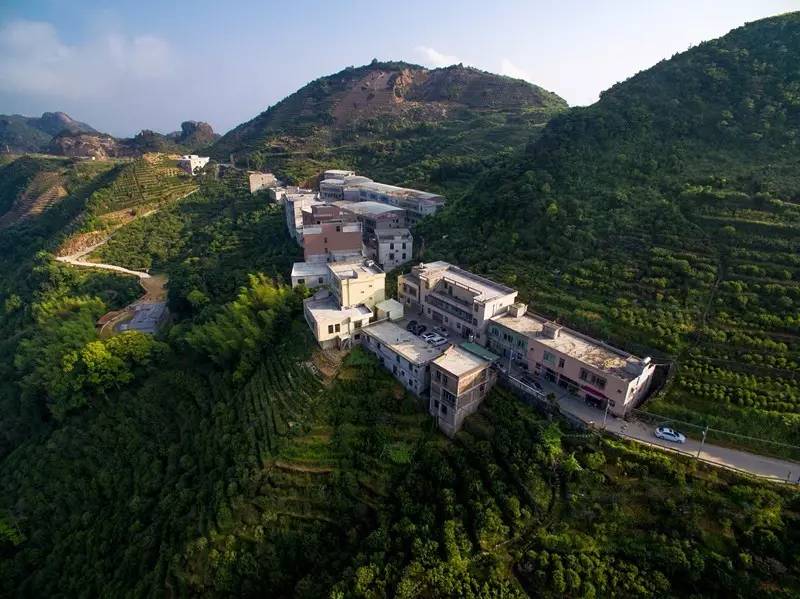 访山问茶|凤凰单丛核心茶区全解(乌岽村篇)