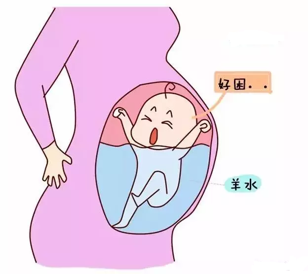 钻进肚子里变成胎儿图片