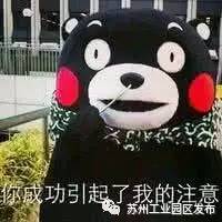 苏州园区住房公积金,苏州园区住房公积金个人怎么提取