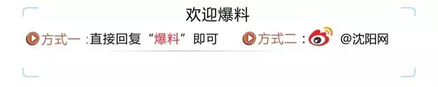 沈阳汽车违章查询,沈阳汽车违章查询网