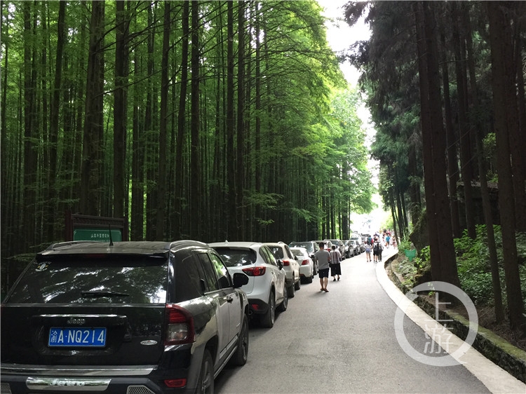市民均是利用周末时间上山避暑,山王坪景区,周五一晚就涌入数百辆汽车