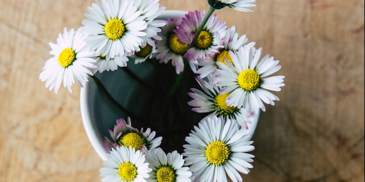 对老公失望心寒的说说 对老公彻底失望的说说