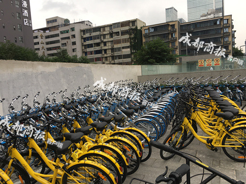 共享单车有哪些品牌，成都本土品牌自由GO、黑拜单车中场加入“血战”