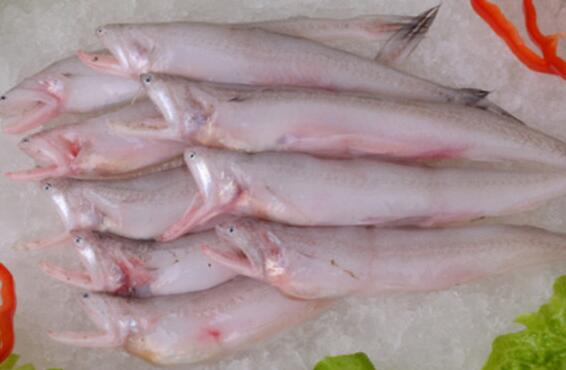 水潺孕妇可以吃吗 水潺鱼的营养价值有哪些