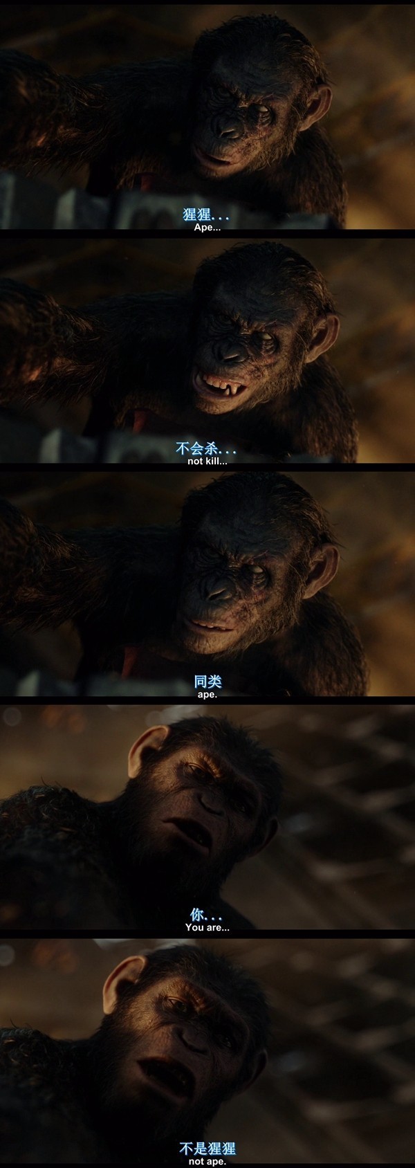 佳片｜《猩球崛起2：黎明之战》：没有人性，做猩猩你都不配！
