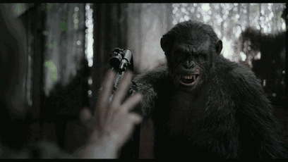 佳片｜《猩球崛起2：黎明之战》：没有人性，做猩猩你都不配！