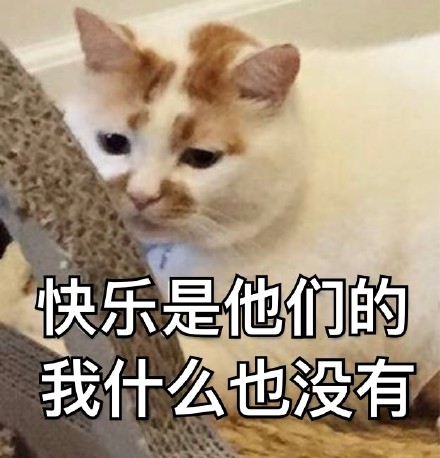 女生一般想要什么礼物（女人需要什么礼物）