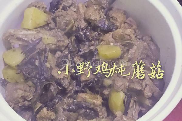 野鸡的做法,野鸡的做法 家常